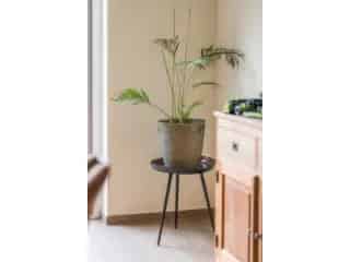 Appartement te koop - Kemzeke RBT43721