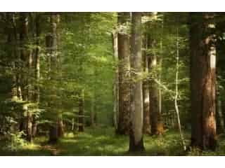 Grond te koop - Farciennes VBC10080