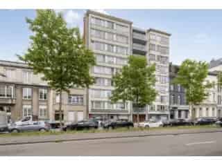 Handelspand te koop - Antwerpen RBT67931