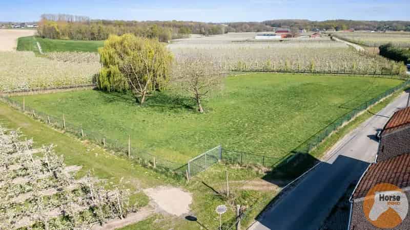 Meensel Kiezegem - Omheinde weide van 40a