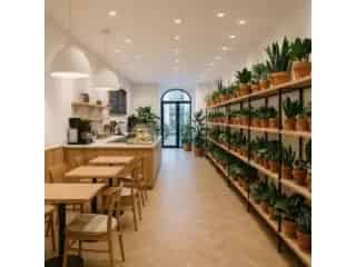 Handelspand te koop - Antwerpen RWC39015