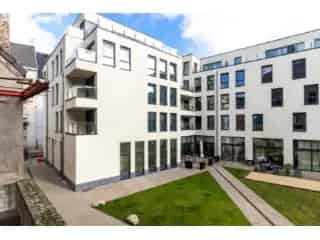 Handelspand te koop - Gent RBT93421