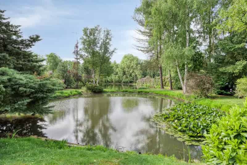 Recreatiegrond met Vijver te Laakdal