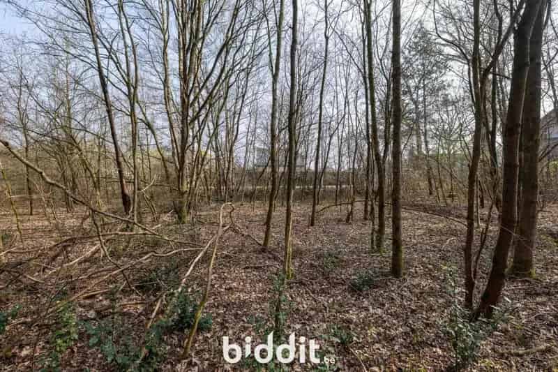 BOUWGROND VAN 26a 98ca