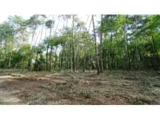 Bouwgrond te koop - Keerbergen RBU00509