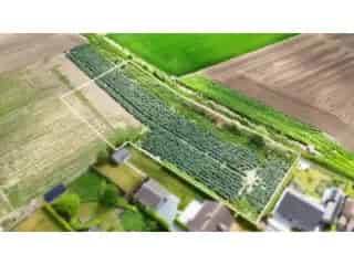 Bouwgrond te koop - Helkijn RBT38878