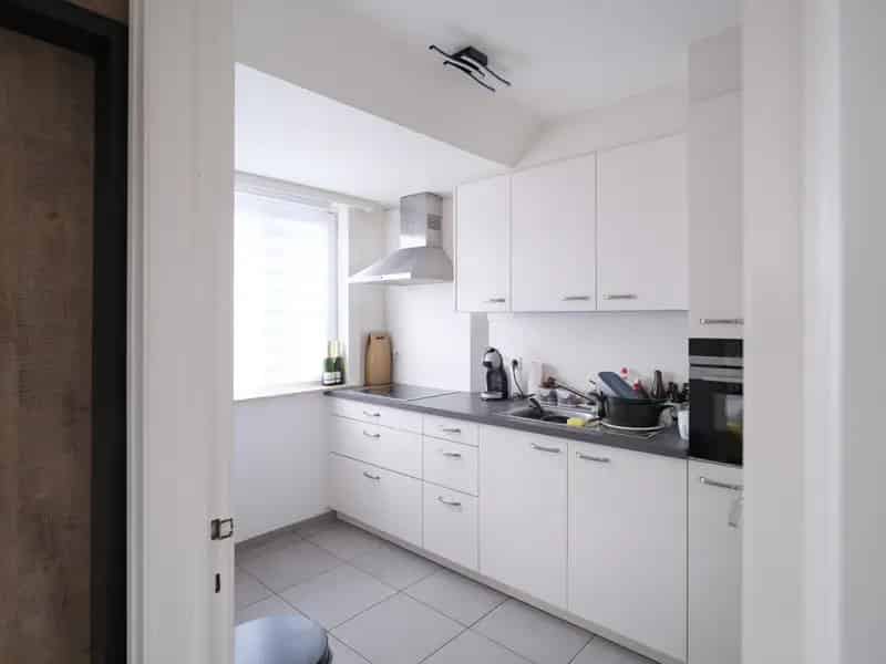 Gerenoveerd Dakappartement te Huur Wetteren