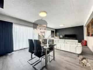 Handelspand te koop - Sint-Jans-Molenbeek VBC92919