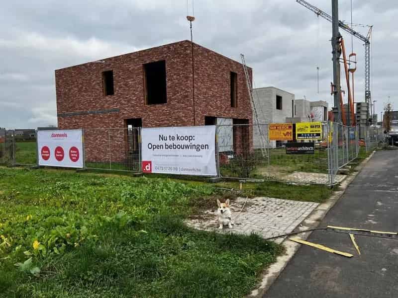 Nieuwbouw woning te koop in Brecht
