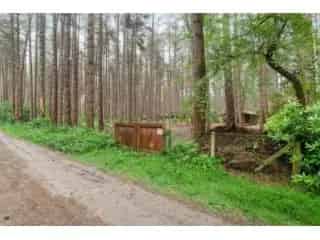 Landbouwgrond te koop - Gierle RBT15261