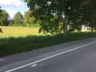 Grond te koop - Couvin VBC66572