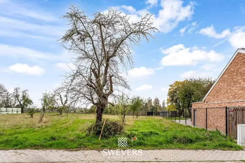 Zonnige bouwgrond voor halfopen bebouwing in Borgloon
