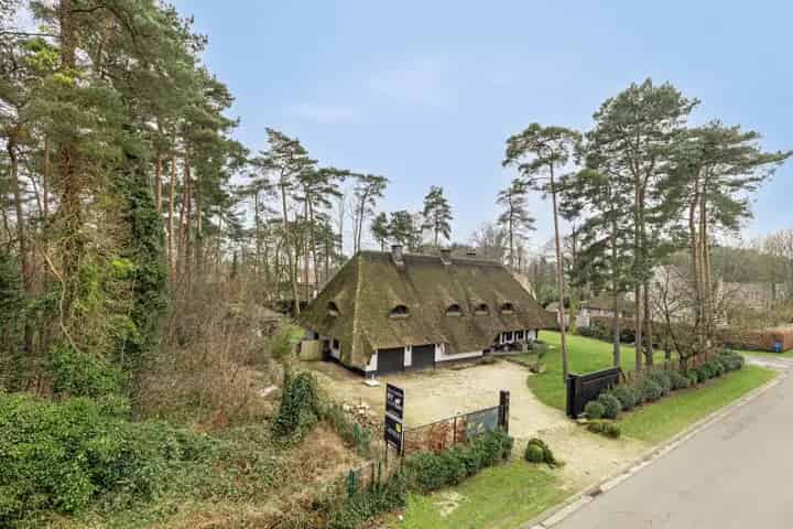 Villa te koop in Waasmunster