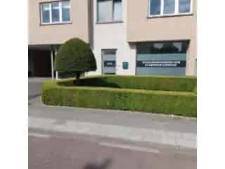 Handelsfonds te koop - Assebroek RBM02795