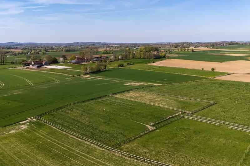 Paardenaccommodatie met gerenoveerde woning te huur