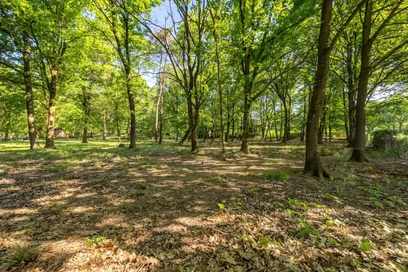 Grond te huur Retie: 12679m² recreatiegrond met 3 bijkomende weekendverblijf mogelijkheden