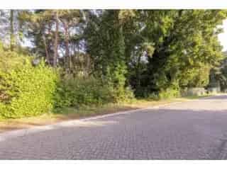 Grond te koop - Wechelderzande RBS99652