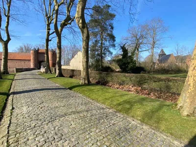 Nieuwbouw appartement te koop in Anzegem