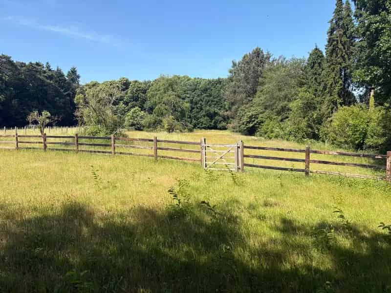Huis te huur nabij Leuven: 5 slaapkamers, paardenstallen, 1,35ha grond