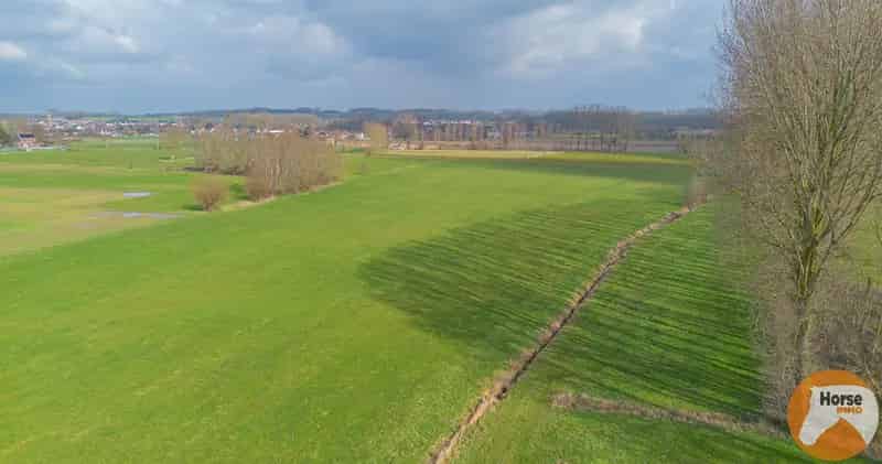 HILLEGEM – Landbouwgronden te koop