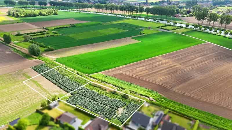 Bouwgrond te huur Spiere Helkijn 3864m2 Landelijk gelegen