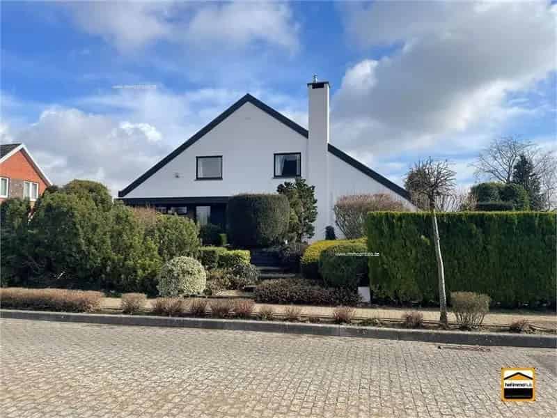Handelspand te koop Tongeren-Borgloon