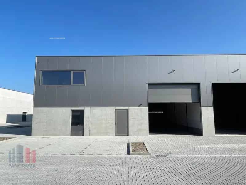 Nieuwbouw bedrijfsgebouw te huur in Oostende Portus Oostende