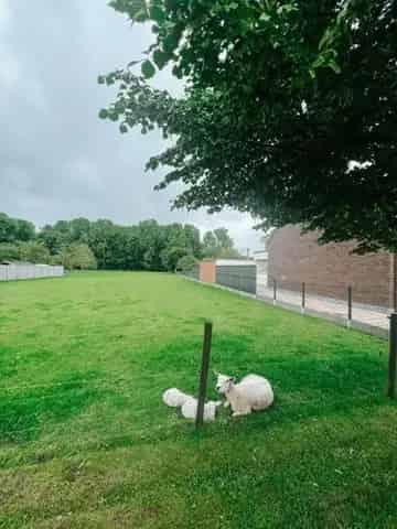 Bouwgrond te koop in Meise