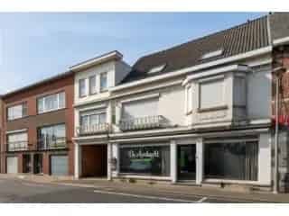 Handelspand te koop - Heist-op-den-Berg RBT96489