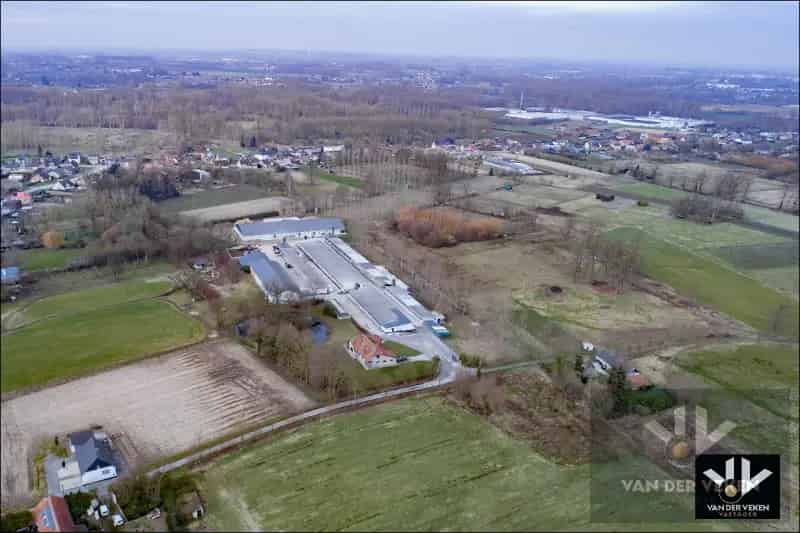 115 Hectare Landbouwgrond te Wellen
