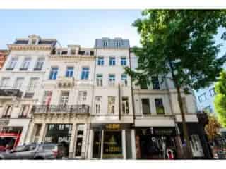 Handelspand te koop - Antwerpen RBT79653