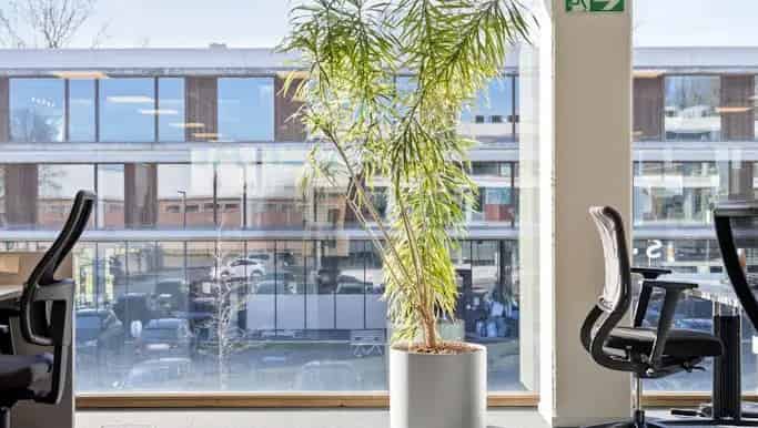 Kantoor te huur in Blokkestraat 41, Zwevegem - Dewaele