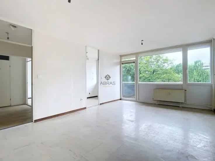 Appartement 1 Chambre Centre Ville