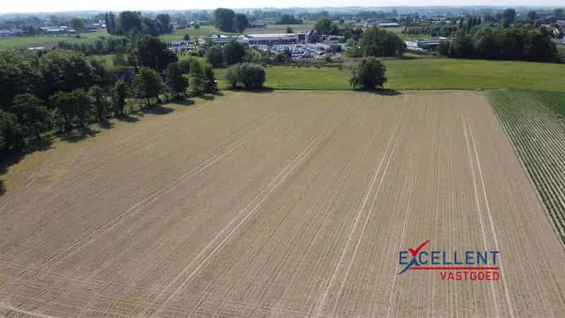 Landbouwgrond te Huur Machelen Zulte 8682m2