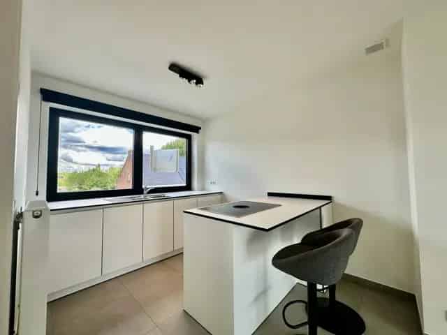 Appartement te huur in Wetteren
