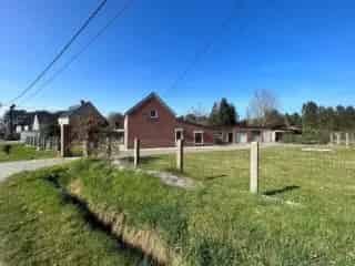 Bouwgrond te koop - Geel RBT39833
