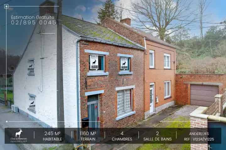 Huis te koop in Anderlues