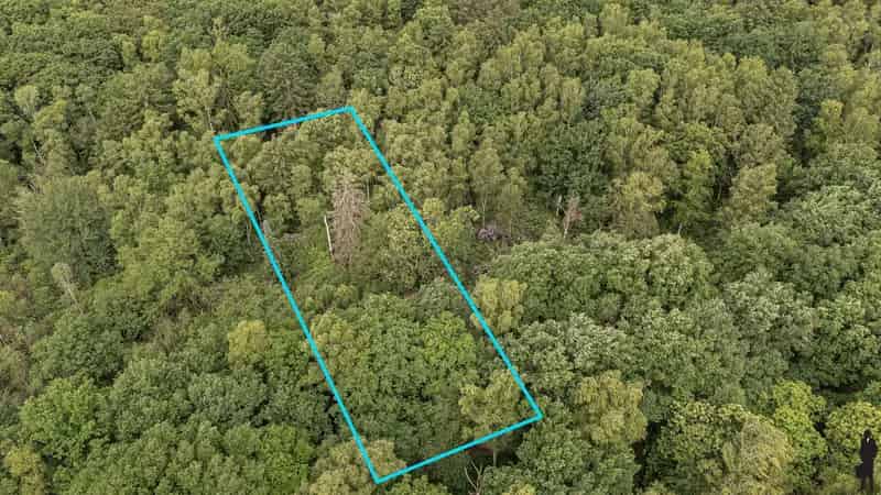 Bosgrond te koop Gooreind 2236m² Rode Dreef