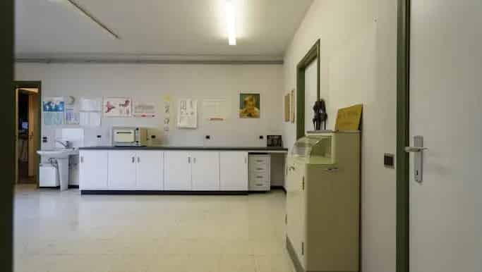 Kantoor met woning te koop in Brouwerijstraat 2, Bissegem - Dewaele