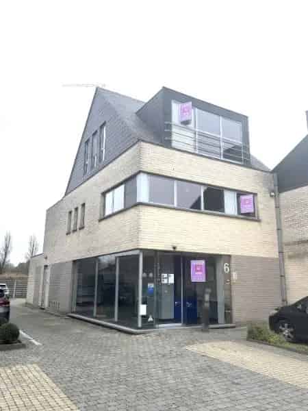 Handelspand te koop Geel