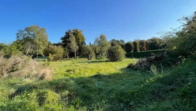 Huis te koop in Zolderse Kiezel 22, Kuringen - Dewaele