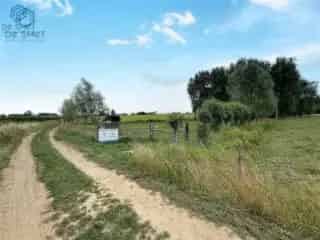 Landbouwgrond te koop - Lierde RBT95931