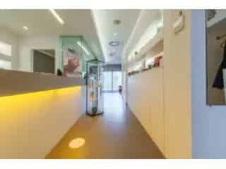 Handelspand te koop - Boom RBT13944