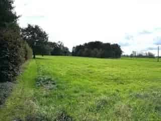 Landbouwgrond te koop - Heist-op-den-Berg RBR66680   In optie