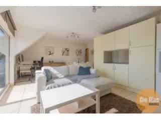 Appartement te koop Schellebelle - Instapklaar met terras