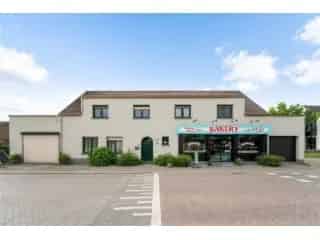 Handelspand te koop - Olen RBU11058