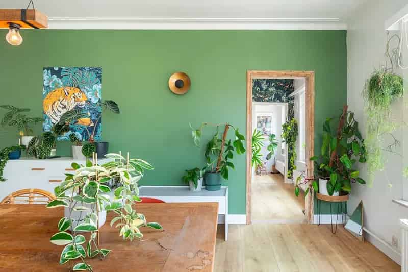 Prachtig appartement op centrale ligging. 8537552