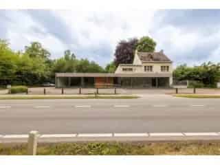 Handelspand te koop - Geel RBU16229