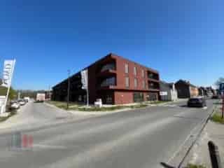 Handelspand te koop - Drongen RBU24324