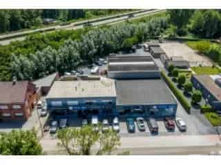 Industrie te koop - Mol RBU08762